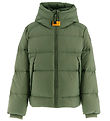 Parajumpers Daunenjacke - Thymian - Thymian