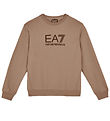 EA7 Sweatshirt - Portabella w. Logo