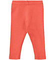 Wheat Leggings - Rib - Maddy - Candy Útg