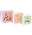 Petit Monkey Lunchbox Set - Animal Picnic