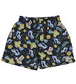 Speedo Swim Shorts - Black/Bluegold