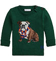 Blouse Polo Ralph Lauren - Tricoté - Vert av. Chien