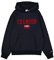 Sweat à Capuche Champion - à capuche - Sky Captain