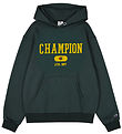 Champion Hoodie - Hooded - Green Gables