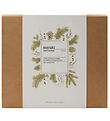 Meraki Gift Box - Advent Calendar