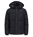 Jack & Jones Winterjacke - JJEBradley - Schwarz