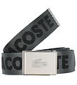 Lacoste Belt - Black Aubier