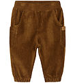 Hust and Claire Cordhose - Gus - Brownie