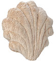 Senger Naturwelt Heating pad - Large - Seashell - 36 cm - Beige