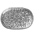 DAY ET Trinket Box - Disco Jewelry Zip Oval - Silver
