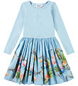 Molo Kleid - Casie - Celebration