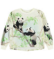 Molo Blouse - Reniza - Cuteness