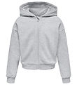 Kids Only Cardigan - CookFave - Light Grey Melange