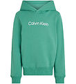 Calvin Klein Hoodie - Inst. Logo - Bahamas Green