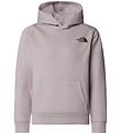 Sweat à Capuche The North Face - Box- Pierre de lune Grey av. Im