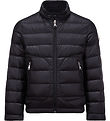 Moncler Down Jacket - Acorus - Navy