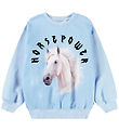 Molo Sweatshirt - Monti - Hästkraft