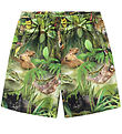 Molo Shorts - Amil - Jungle Animals