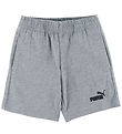 Puma Shorts - Grey Melange