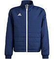 adidas Performance Steppjacke - ENT22 LJKTY - TENABL