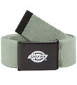 Dickies Belt - Orcutt - Iceberg Green