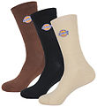 Dickies Socken - 3er-Pack - Valley Grove - Cappuccino