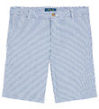 Polo Ralph Lauren Shorts - Preppy - Blue/White Striped