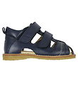 Angulus Sandals - Beginner - Navy