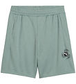 Puma Shorts - Active - Green Moon