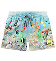 Molo Badshorts - UV50+ - Niko - Happy Ocean