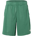 Fila Shorts - The beginning - Fir