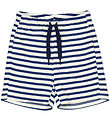 Freds World Shorts - Almond/Navy