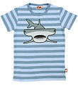 ANIMALS T-shirt - DyrGrowl - Porcelaine/Baby Blue Hammerhead sha