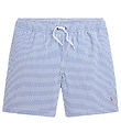 Polo Ralph Lauren Badshorts - Travlr - Blå/Vit