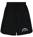 Champion Shorts - Black