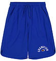 Champion Shorts - Blue