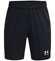 Under Armour Shorts - Black