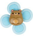 Tiger Tribe Toys - Sensory Spinner - Bear