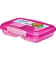 Sistema Brooddoos - Small Verdeeld - 350 ml - Roze