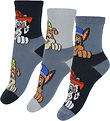Name It Socks - 3-Pack - NmmAtty - Paw Patrol - Navy Blazer/PE