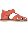 Wheat Sandalar - Lowe - Coral