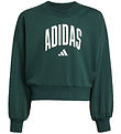 adidas Performance Sweatshirt - JG CLGT FT - Aurivy/White