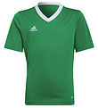 adidas Performance T-Shirt - ENT22 - Teegrün/White