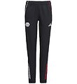 adidas Performance Jogginghosen - AJAX PRE PNTY - Black/White/BO