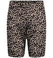 Kids Only Bicycle Shorts - KogLive - Ginger Root/Tikkie Leo