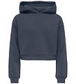 Kids Only Hettupeysa - KogSweat - Ombre Blue