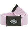 Dickies Bälte - Orcutt - Vinsmakande Orchid