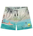Molo Swim Shorts - UV50+ - Niko - Leo On Surf