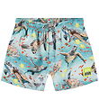Molo Swim Shorts - UV50+ - Niko - Marine Turtles