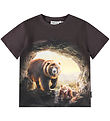 Molo Blouse - Riley - Cave Bears
